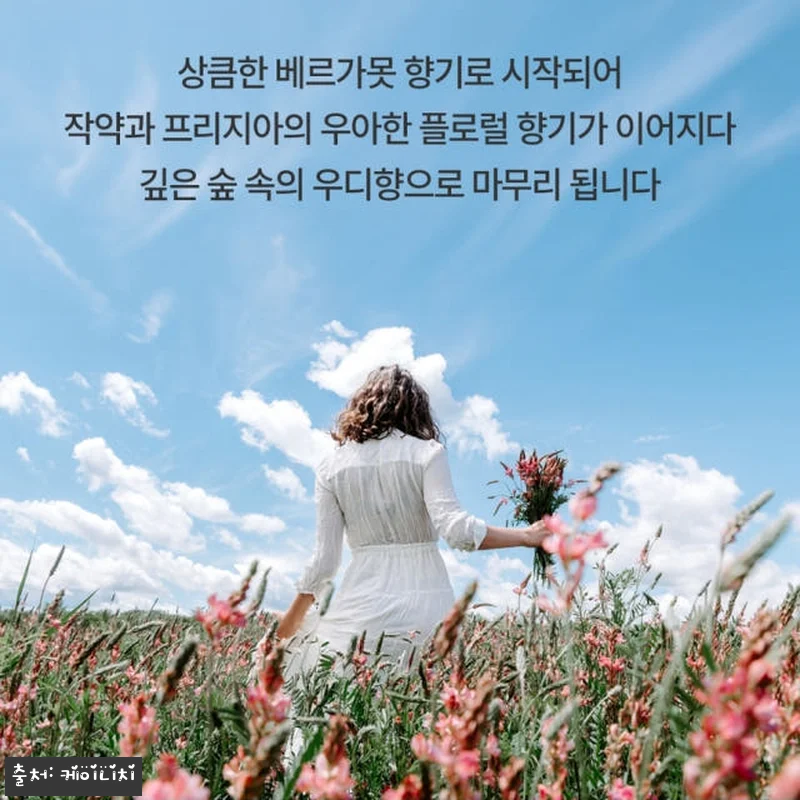 케이니치 로멘틱브리즈 향수 스위트플로 관련 이미지 2