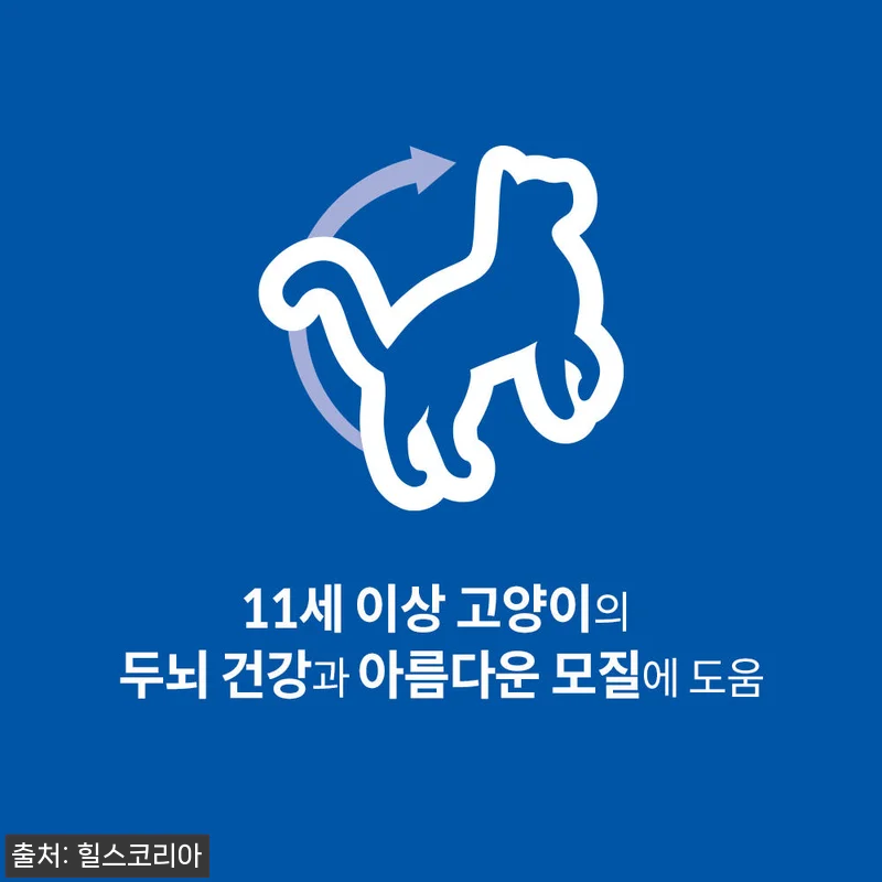 힐스 고양이사료 어덜트 11+ 노령묘 관련 이미지 2