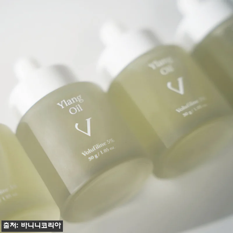 바니니 프랑스세더마사 보르피린 일랑오 관련 이미지 2