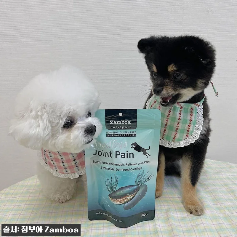 노령견 슬개골 관절 영양제 잠보아 3 관련 이미지 2