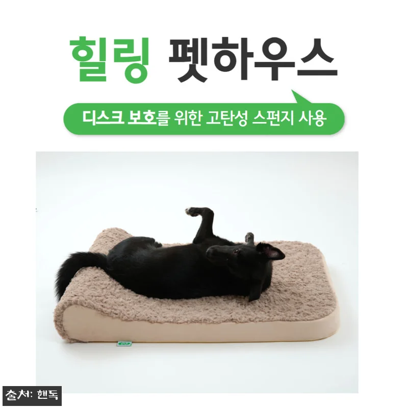 핸독 대형견방석 반려견쿠션 펫쇼파 L 관련 이미지 2