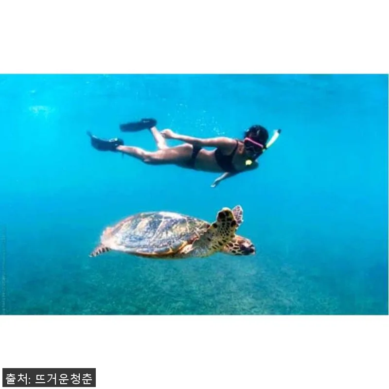 미국 하와이 오아후 호놀룰루 출발 와 관련 이미지 3