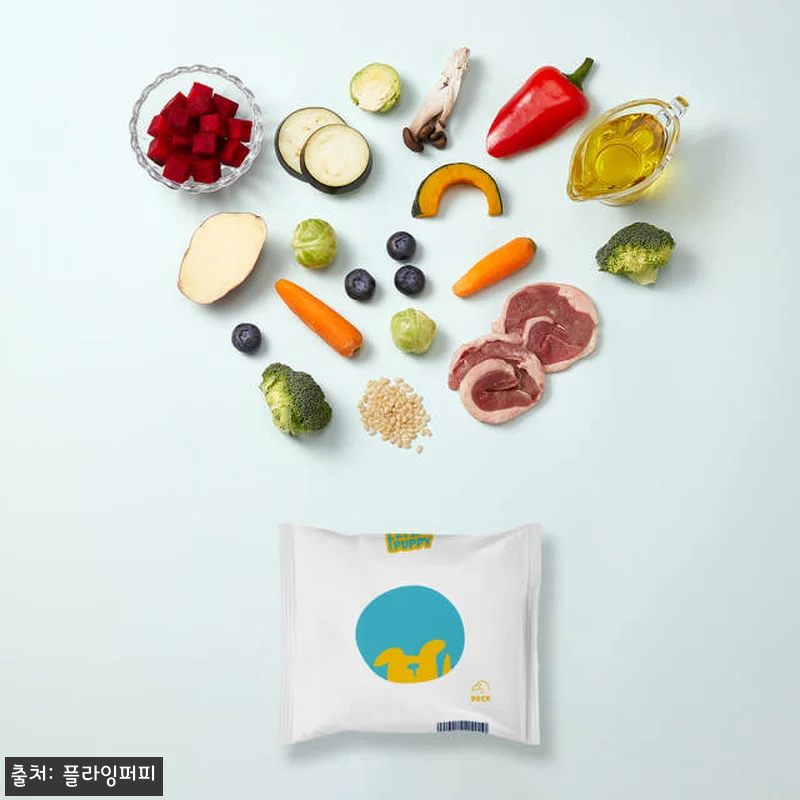 강아지화식 소 닭 돼지 오리 캥거루 관련 이미지 3