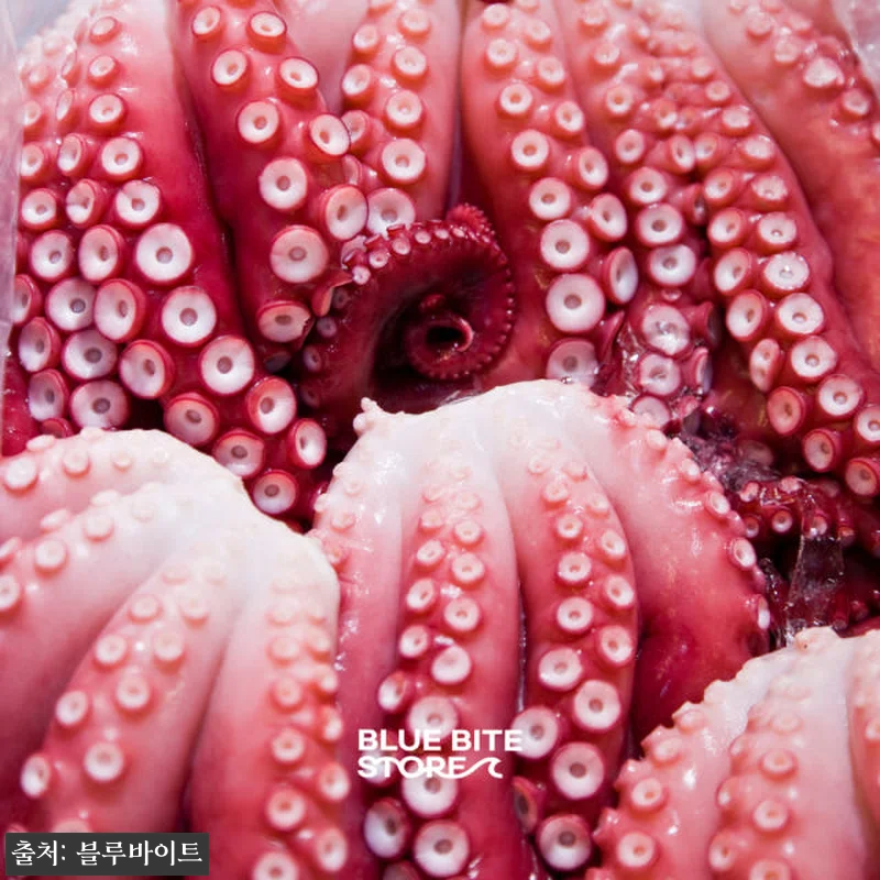 자숙문어 10kg 손질 피문어 냉동 관련 이미지 3