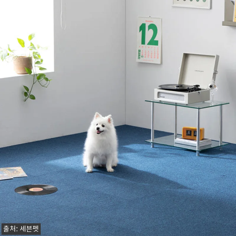 세븐펫 강아지 도톰매트 그란데 60x 관련 이미지 2