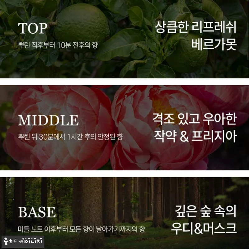 케이니치 로멘틱브리즈 향수 스위트플로 관련 이미지 3