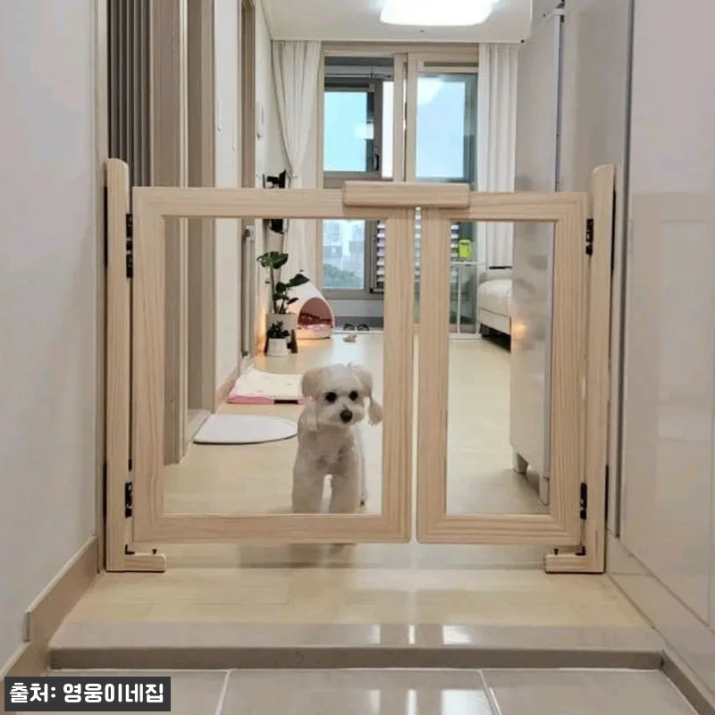 원목 강아지안전문 800사이즈 사용후 관련 이미지 3