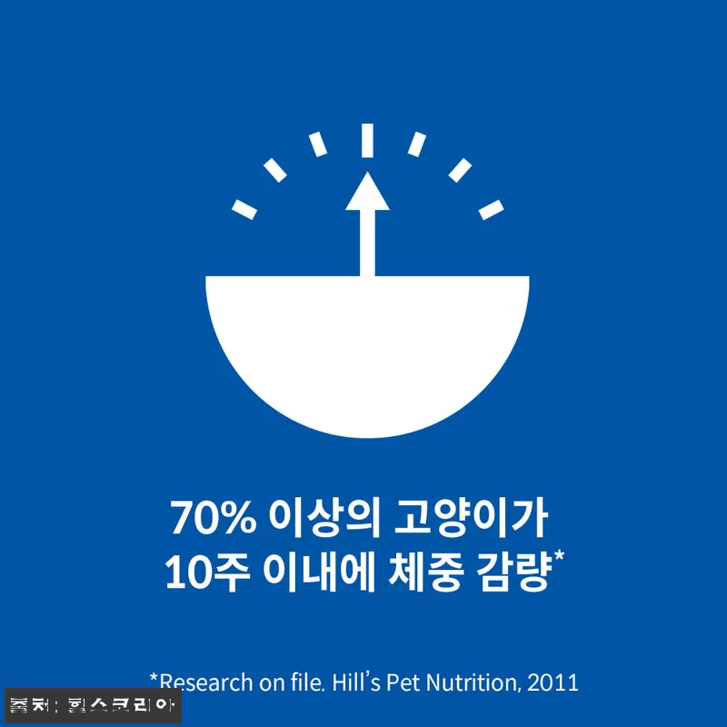 힐스 고양이사료 어덜트 퍼펙트 웨이트 관련 이미지 2