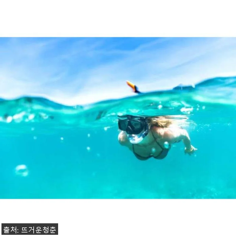 미국 하와이 오아후 호놀룰루 출발 와 관련 이미지 4