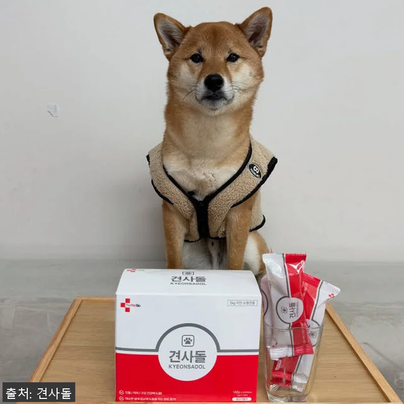 견사돌 4+1 닭고기 덴탈껌 사용후기 관련 이미지 4