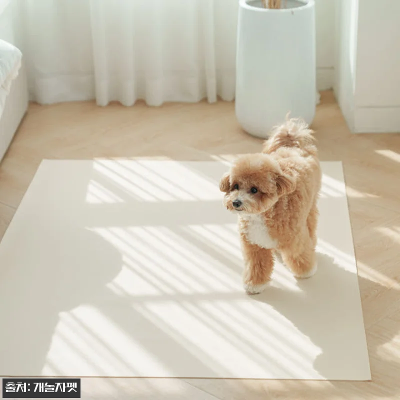 개놀자 슬림 실리콘 강아지 롤매트 사 관련 이미지 4