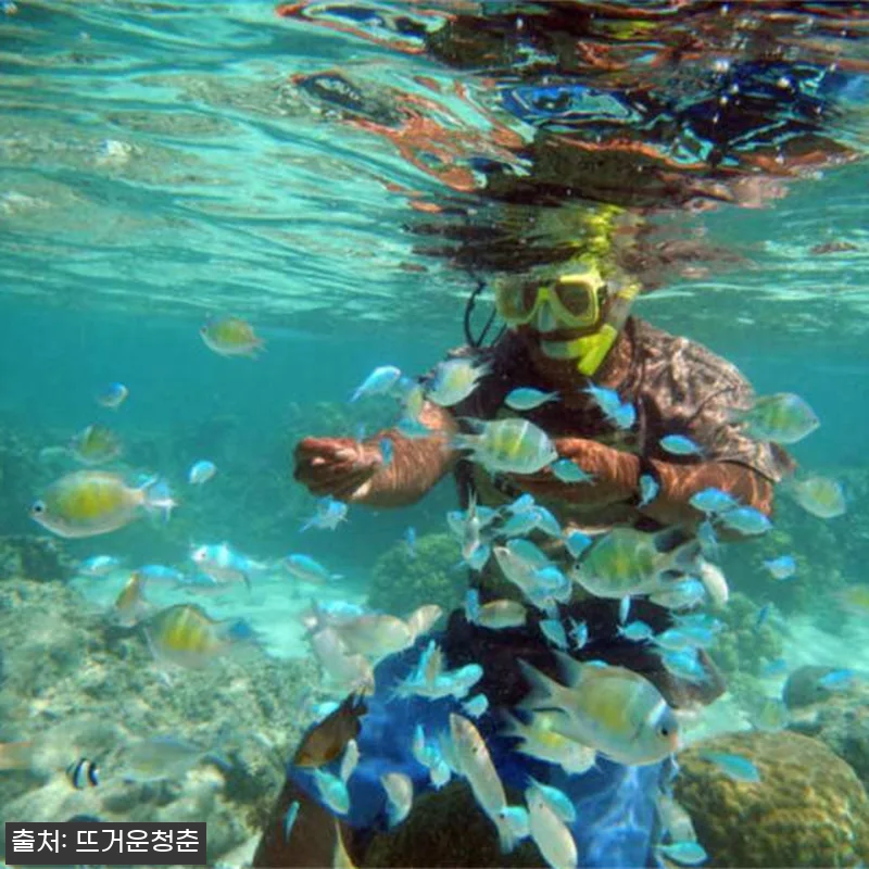 괌 제트스키 1시간+스노클링+비치클럽 관련 이미지 4