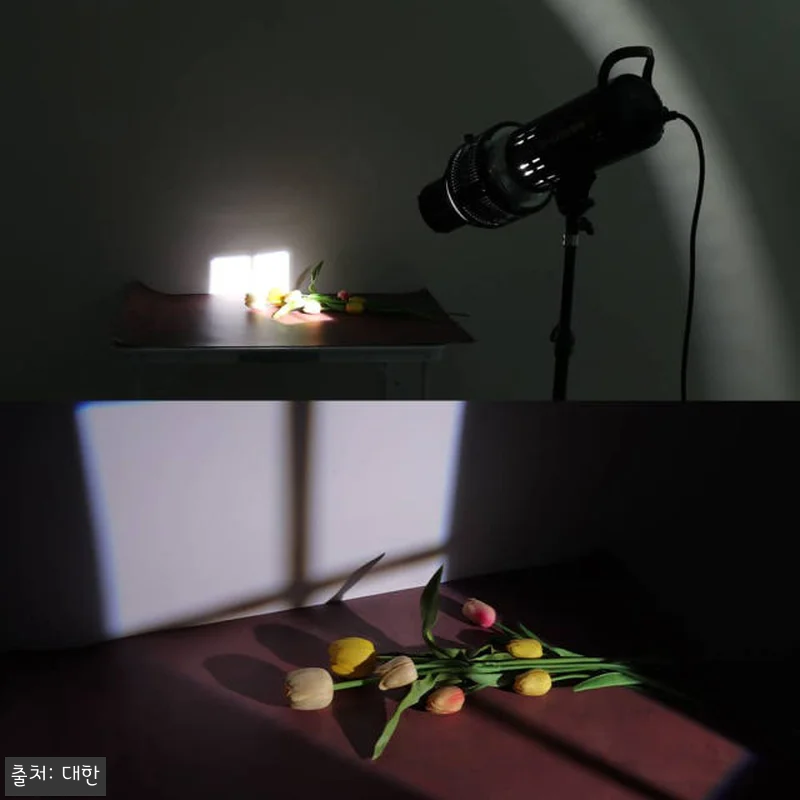 고보 옵티컬 스누트 썬빔 라이트 아트 관련 이미지 3