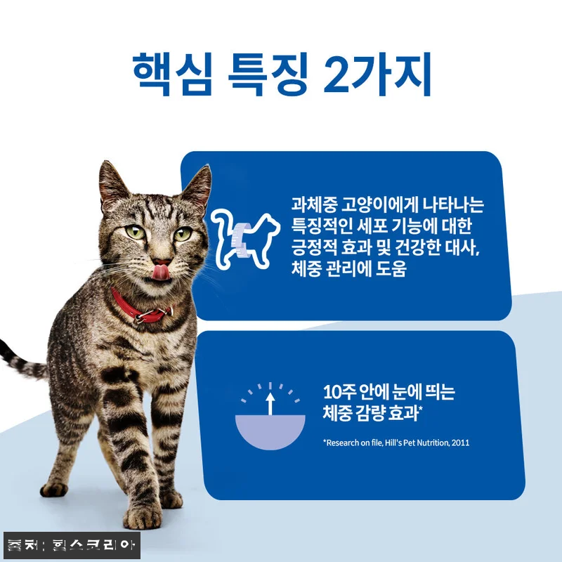 힐스 고양이사료 어덜트 퍼펙트 웨이트 관련 이미지 3