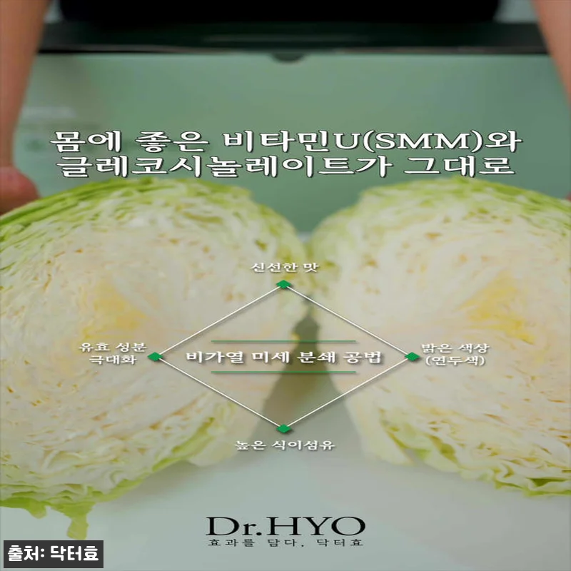 닥터효 더 건강한 유기농 양배추즙 1 관련 이미지 1