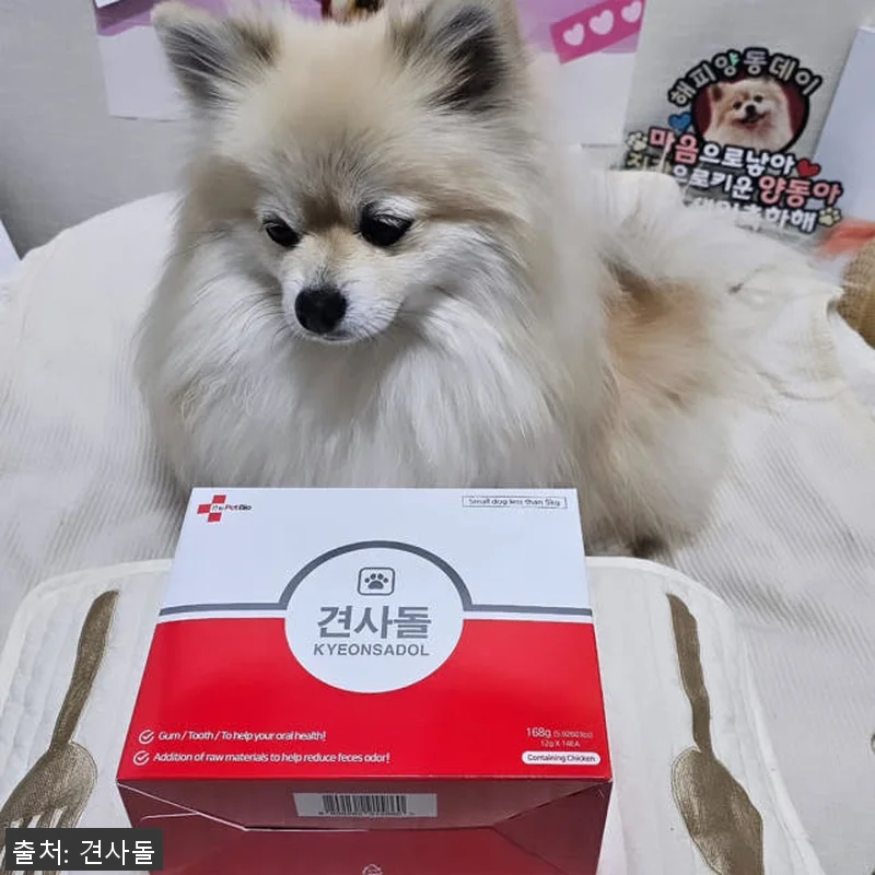 견사돌 4+1 닭고기 덴탈껌 사용후기 관련 이미지 5