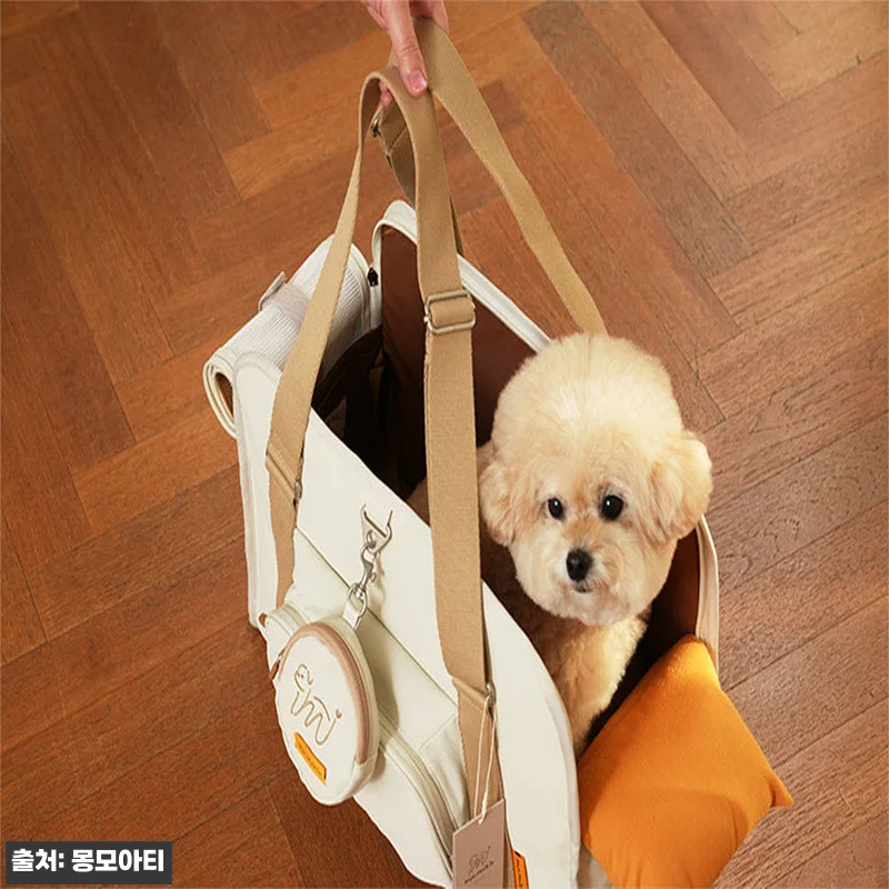 몽모아티 어썸백 강아지 가방, 직접 관련 이미지 2