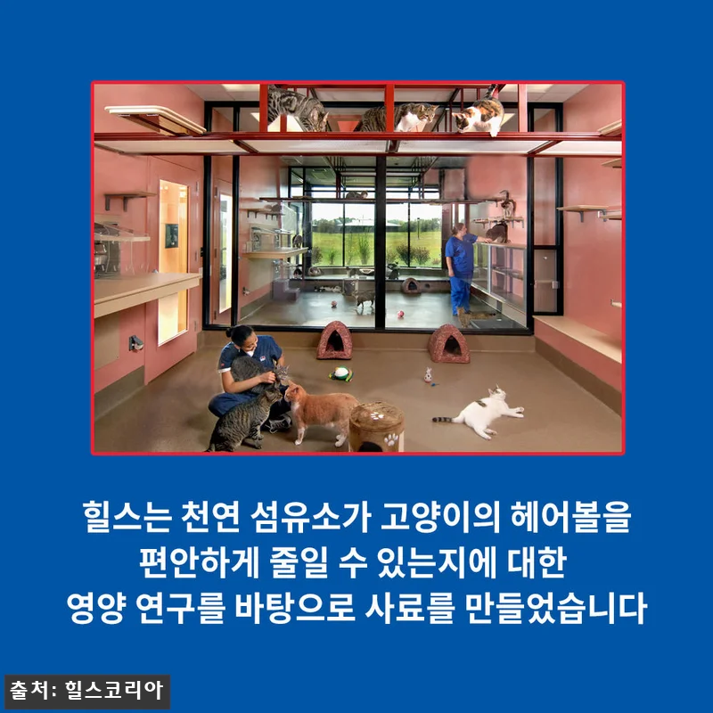 힐스 고양이사료 어덜트 헤어볼 컨트롤 관련 이미지 5