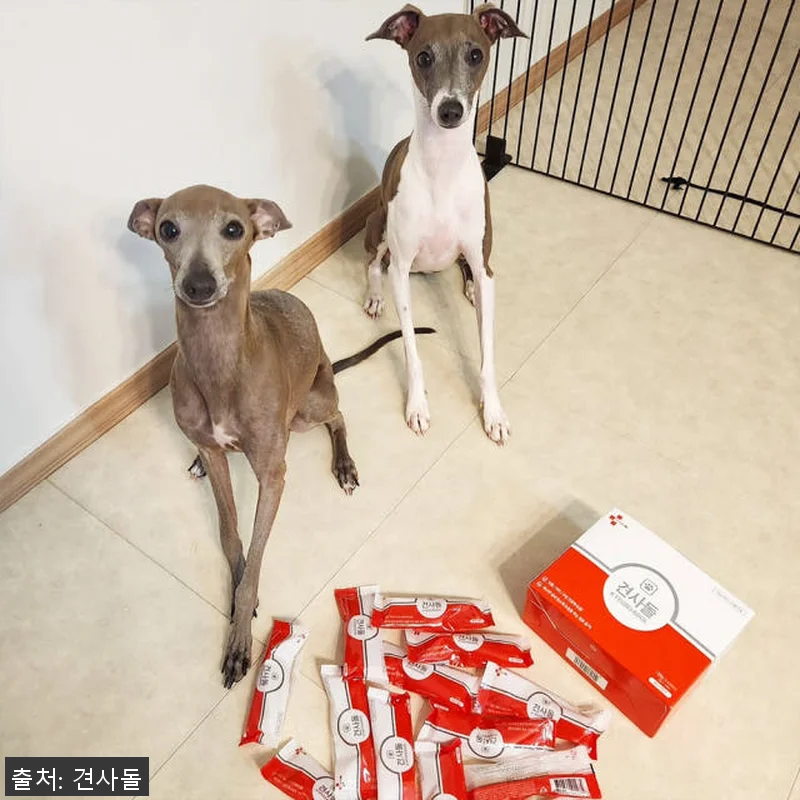 견사돌 4+1 닭고기 덴탈껌 사용후기 관련 이미지 6