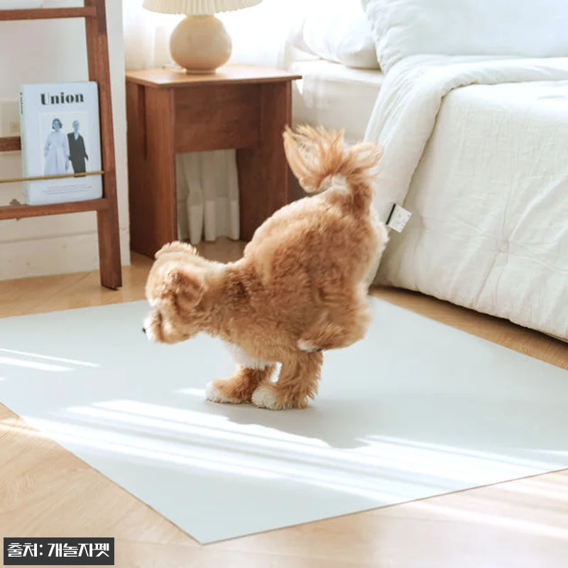 개놀자 슬림 실리콘 강아지 롤매트 사 관련 이미지 6