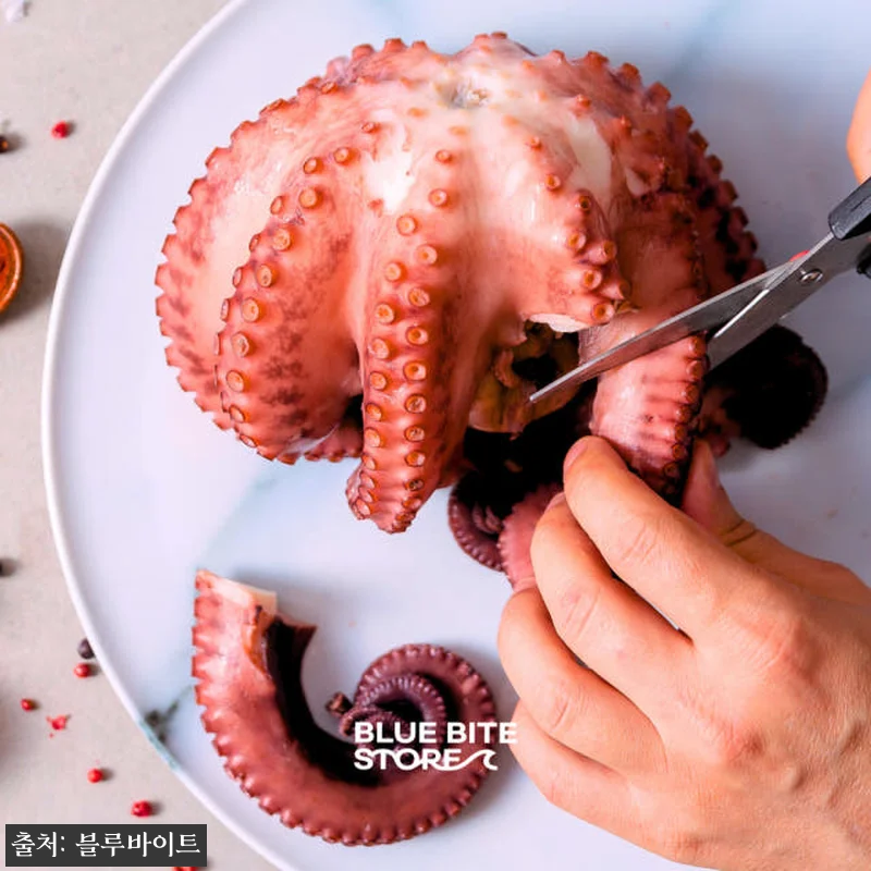 자숙문어 10kg 손질 피문어 냉동 관련 이미지 6