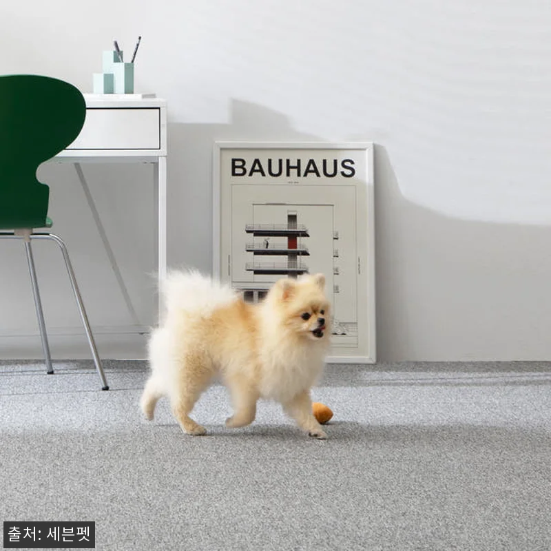 세븐펫 강아지 도톰매트 그란데 60x 관련 이미지 5