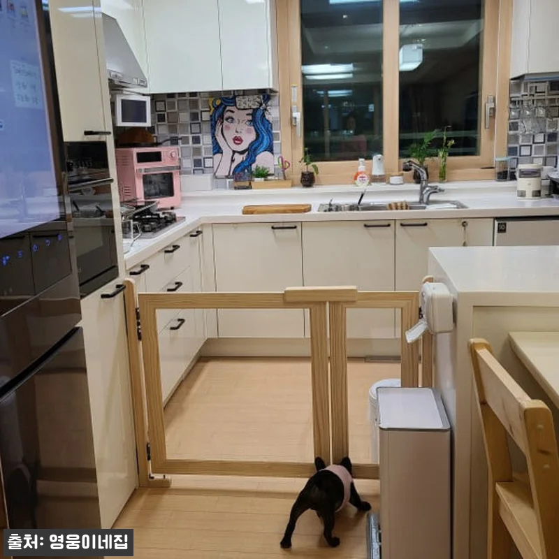 원목 강아지안전문 800사이즈 사용후 관련 이미지 6