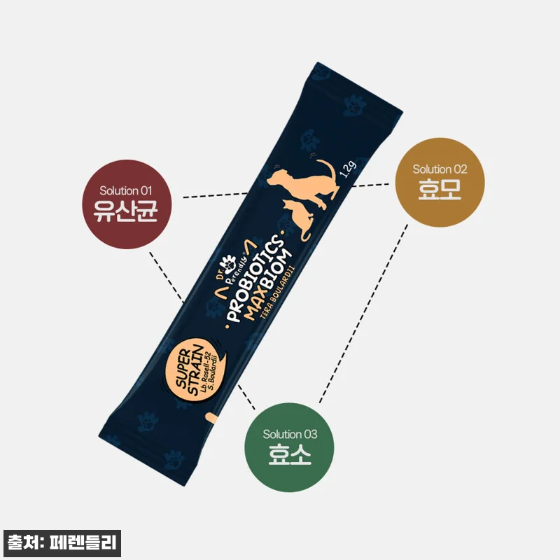 닥터페렌들리 강아지 유산균 고양이 프 관련 이미지 5