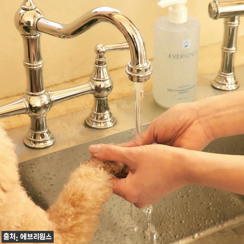 에브리원스 모공 깨끗 딥클렌징&보습 강아지 샴푸 400ml 사용후기 12 에브리원스 모공 깨끗 딥클렌징&보습 관련 이미지 3