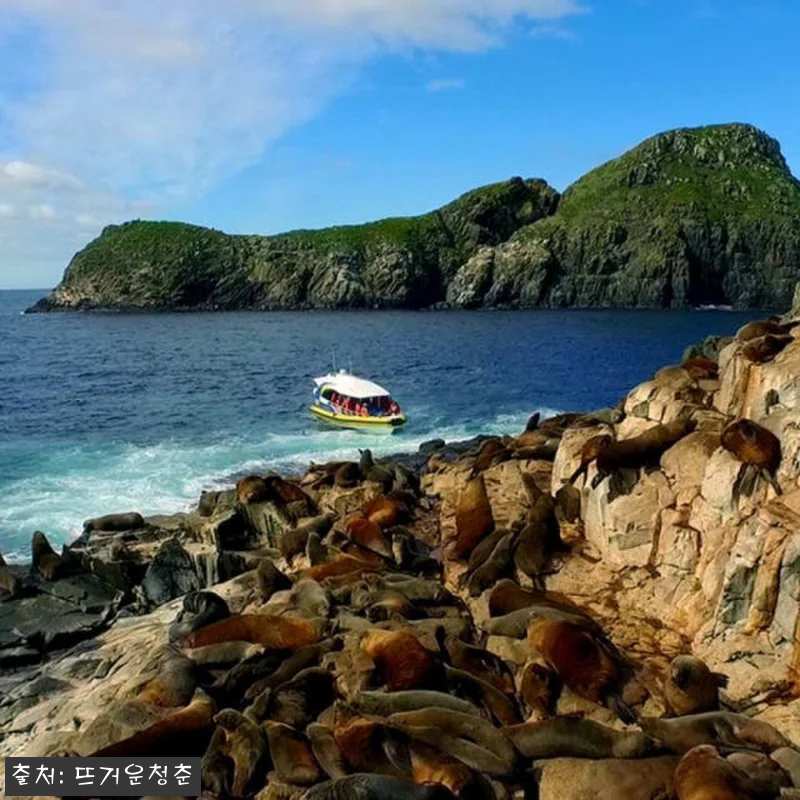 호주 태즈매니아 호바트 출발 브루니 관련 이미지 7