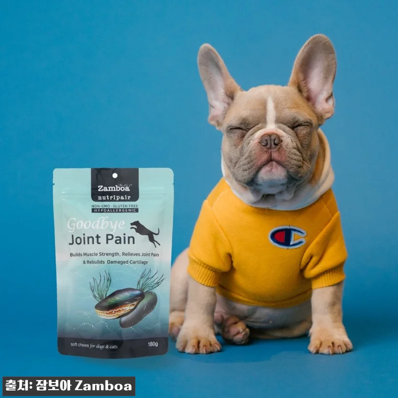 노령견 슬개골 관절 영양제 잠보아 3 관련 이미지 7