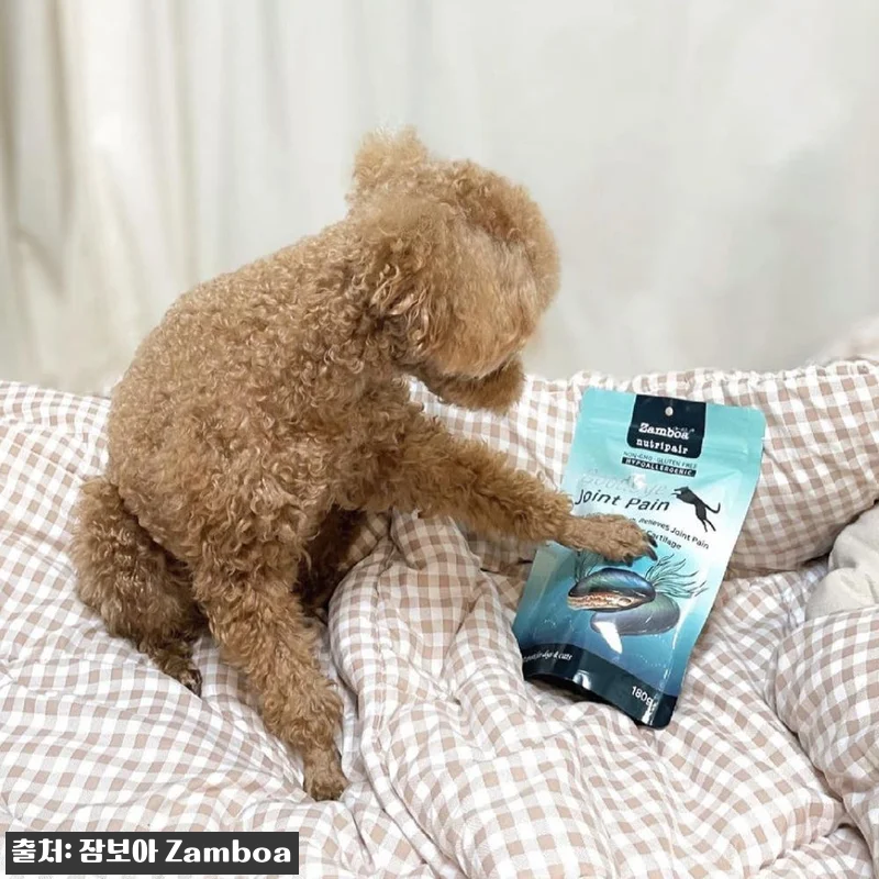 노령견 슬개골 관절 영양제 잠보아 3 관련 이미지 8