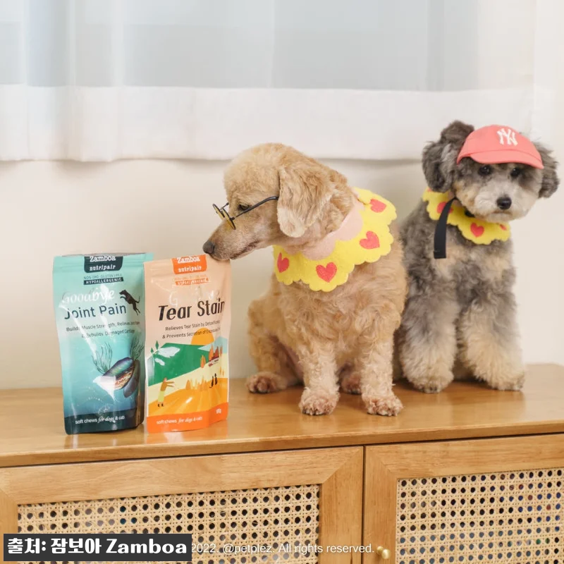 노령견 슬개골 관절 영양제 잠보아 3 관련 이미지 9