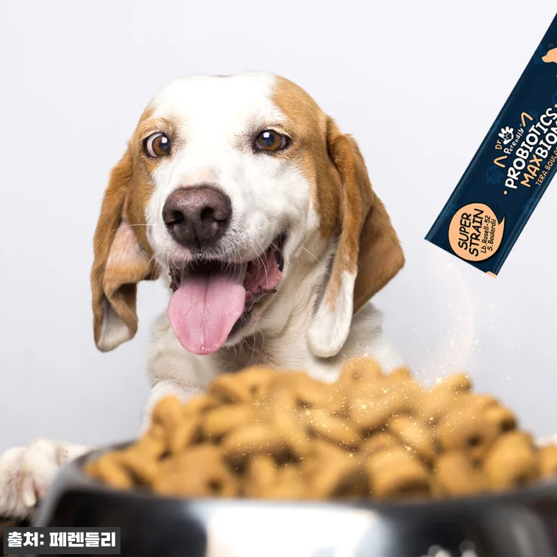 닥터페렌들리 강아지 유산균 고양이 프 관련 이미지 9