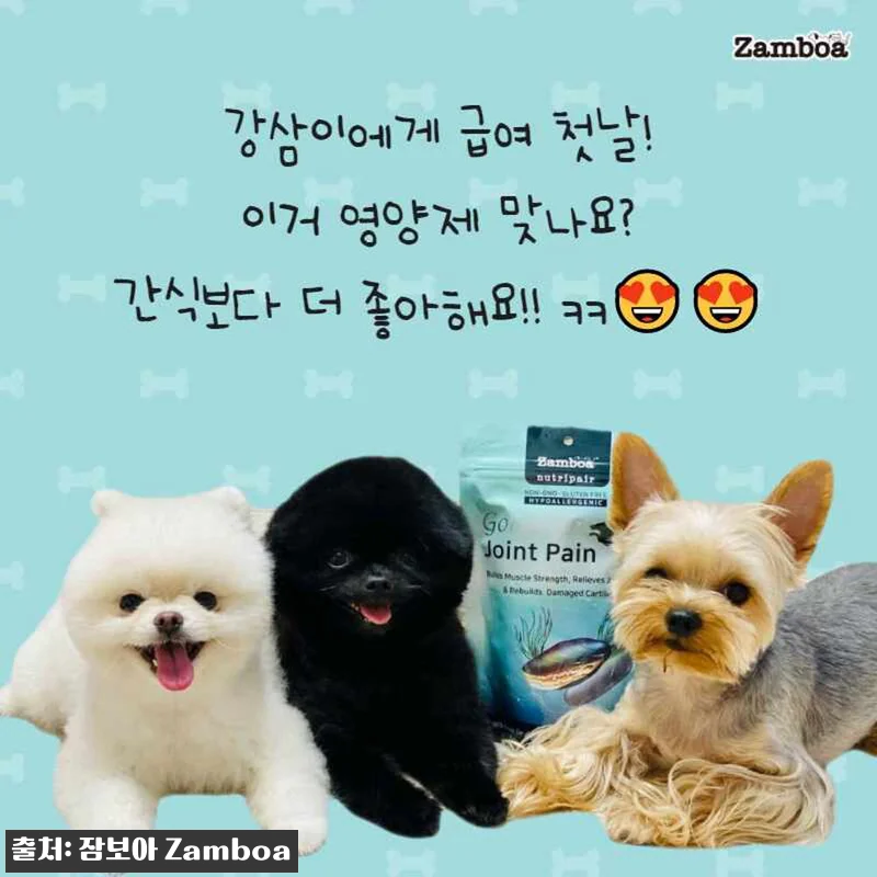 노령견 슬개골 관절 영양제 잠보아 3 관련 이미지 10