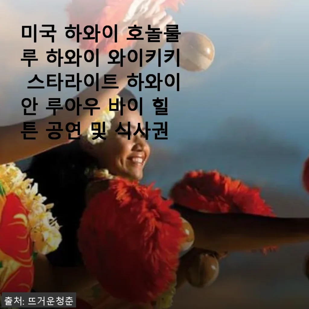 하와이 와이키키 스타라이트 하와이안 루아우 바이 힐튼 공연 및 식사권 사용후기