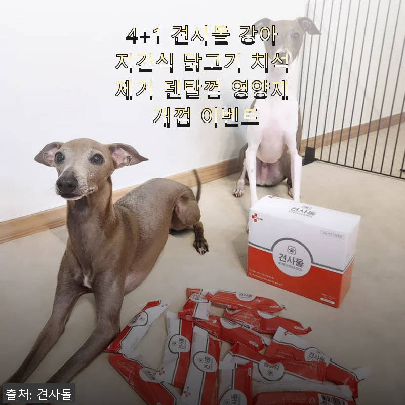 견사돌 4+1 닭고기 덴탈껌 사용후기와 제품 소개