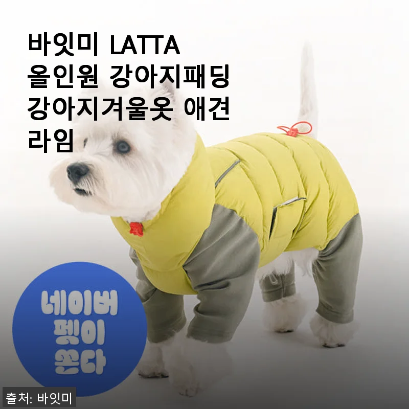 바잇미 LATTA 올인원 강아지패딩 사용 후기: 따뜻함과 세심함이 돋보이는 겨울 필수템