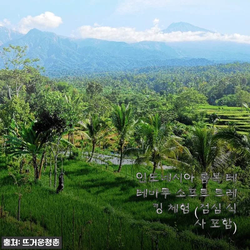 인도네시아 롬복 테테바투 소프트 트레킹 체험 사용후기