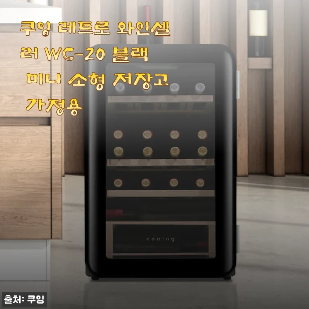 쿠잉 레트로 와인셀러 WC-20 블랙 미니 소형 저장고 사용 후기