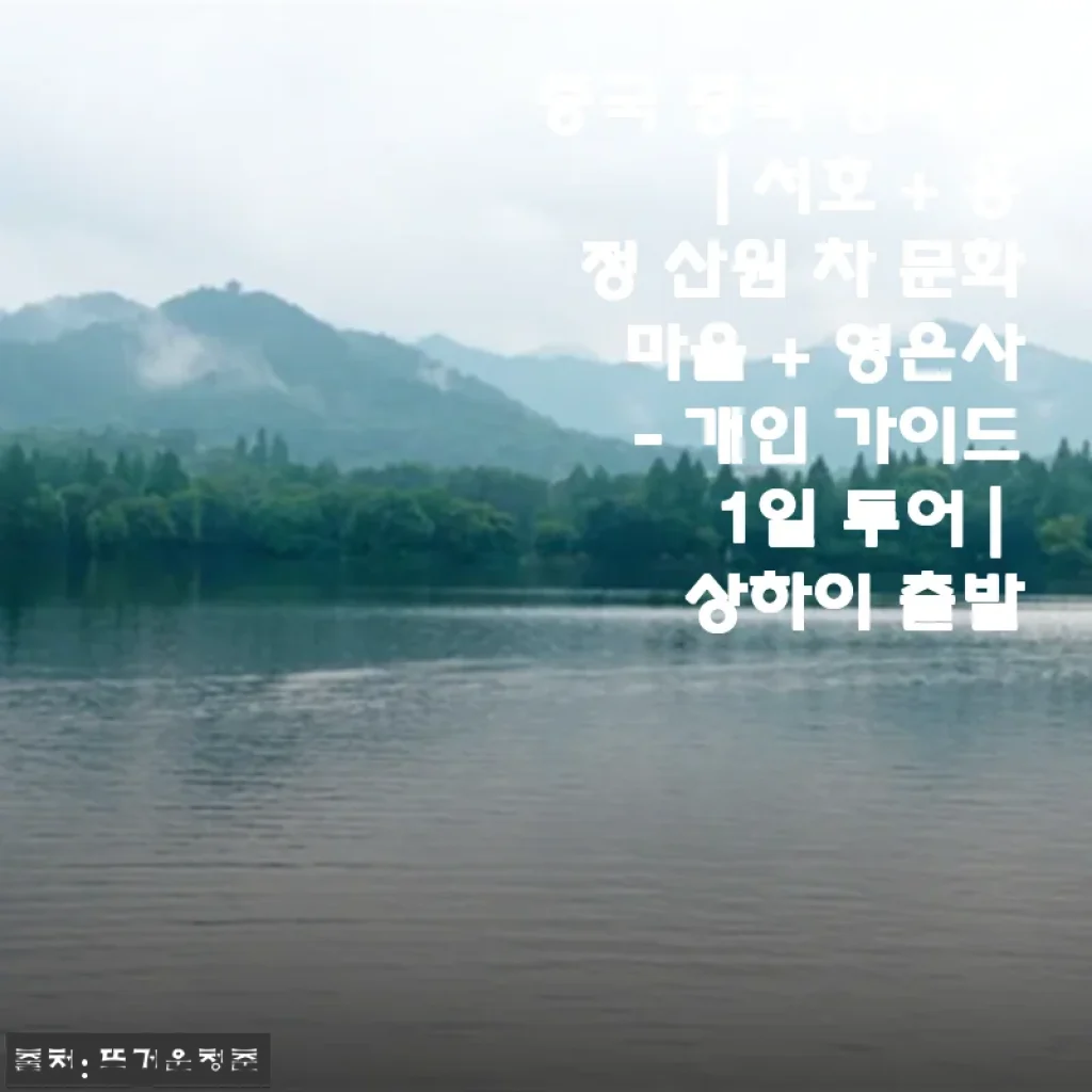 중국 항저우 서호 + 용정 산원 차 문화 마을 + 영은사 1일 투어 후기와 여행 준비 팁