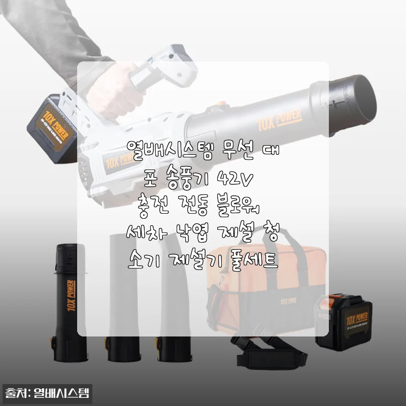 열배시스템 무선 대포 송풍기 42V 사용후기 - 세차부터 낙엽 청소까지 완벽한 다목적 청소기
