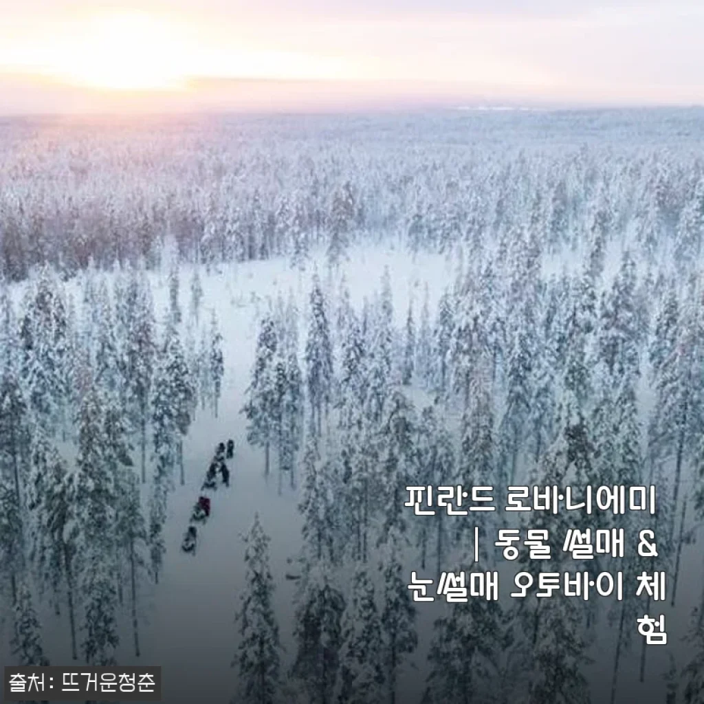 핀란드 로바니에미 동물 썰매 & 눈썰매 오토바이 체험 후기