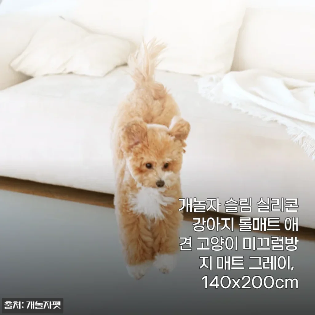 개놀자 슬림 실리콘 강아지 롤매트 사용후기: 반려동물과 함께하는 안전하고 깔끔한 공간