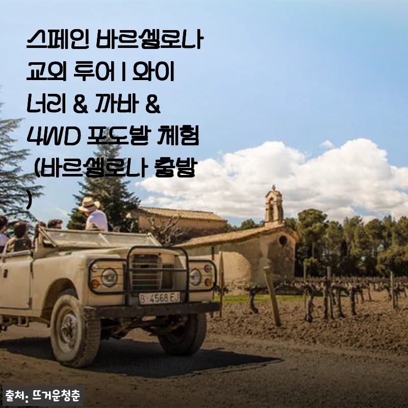 스페인 바르셀로나 교외 투어 체험 후기 – 와이너리와 4WD 포도밭 탐방