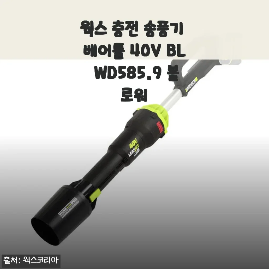 웍스 충전 송풍기 베어툴 40V BL WD585.9 사용후기와 제품 소개