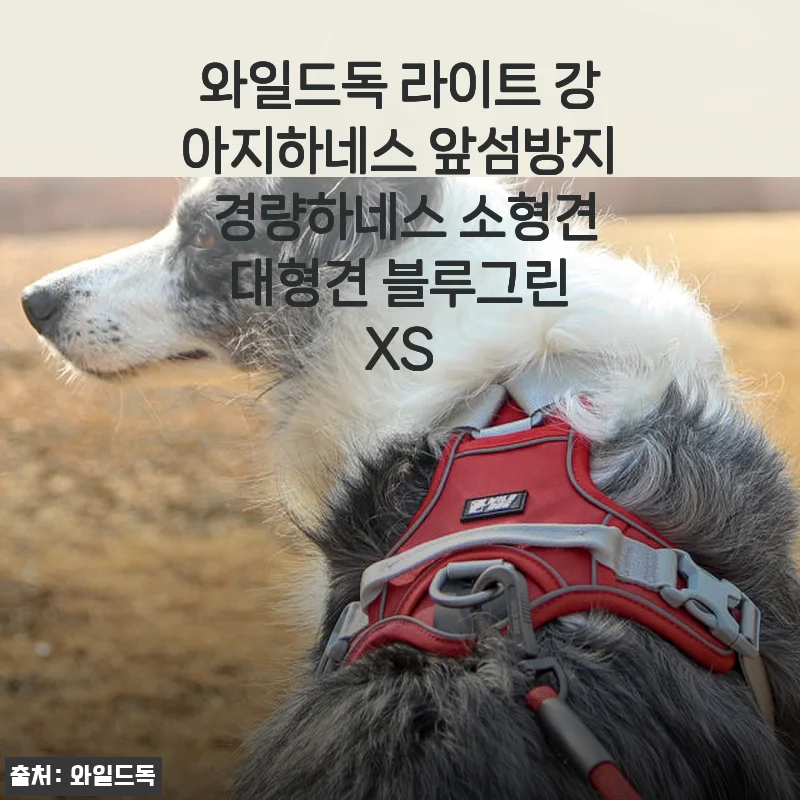 와일드독 라이트 강아지하네스 사용후기, 앞섬방지와 경량성이 돋보이는 소형견부터 대형견까지 안성맞춤