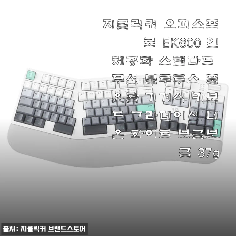 지클릭커 오피스프로 EK600 인체공학 기계식 키보드 사용 후기