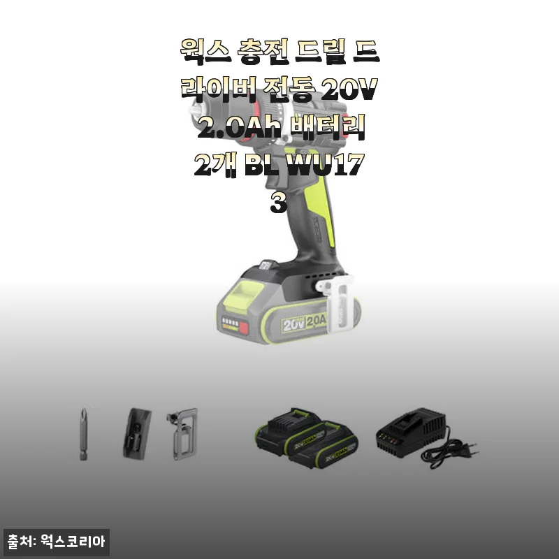 웍스 충전 드릴 드라이버 전동 20V 2.0Ah 배터리2개 BL WU173 사용후기