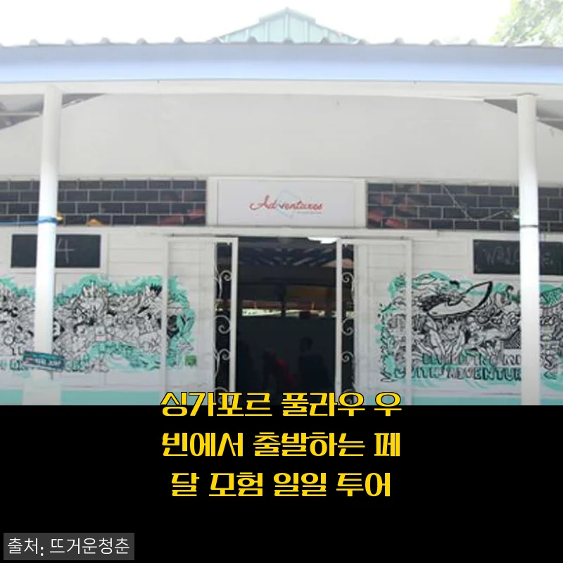 싱가포르 풀라우 우빈 페달 모험 일일 투어 사용후기